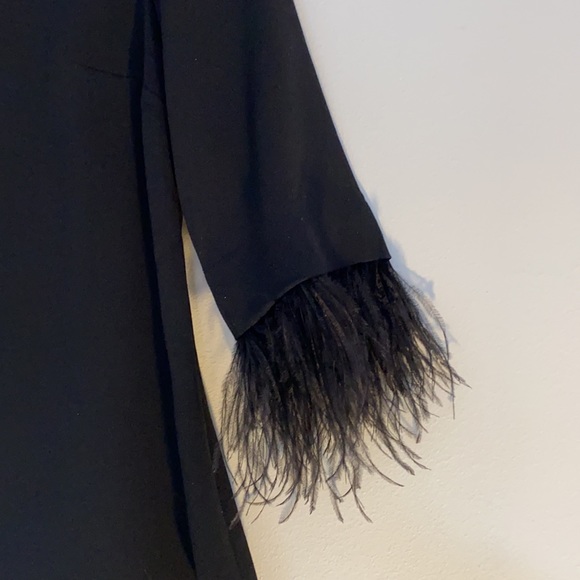 Ann Taylor Black blouse with feather sleeves - Picture 2 of 6